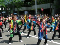 YOSAKOIソーラン祭り　大通南パレード