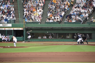 外野席から見た試合光景